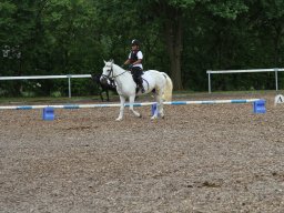 img_4590_web